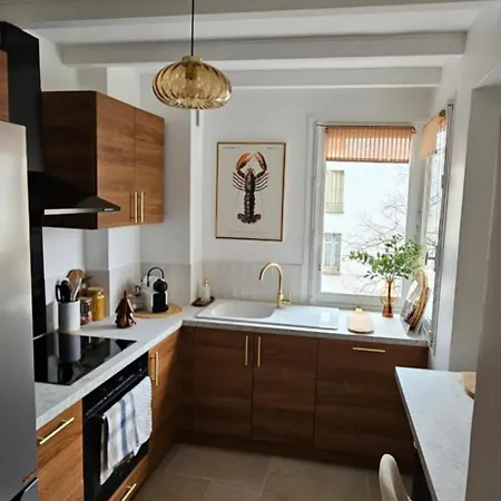 דירה Centre Ville, 3 Chambres, Refait A Neuf דיז'ון