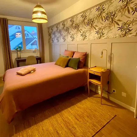 Centre Ville, 3 Chambres, Refait A Neuf Дижон